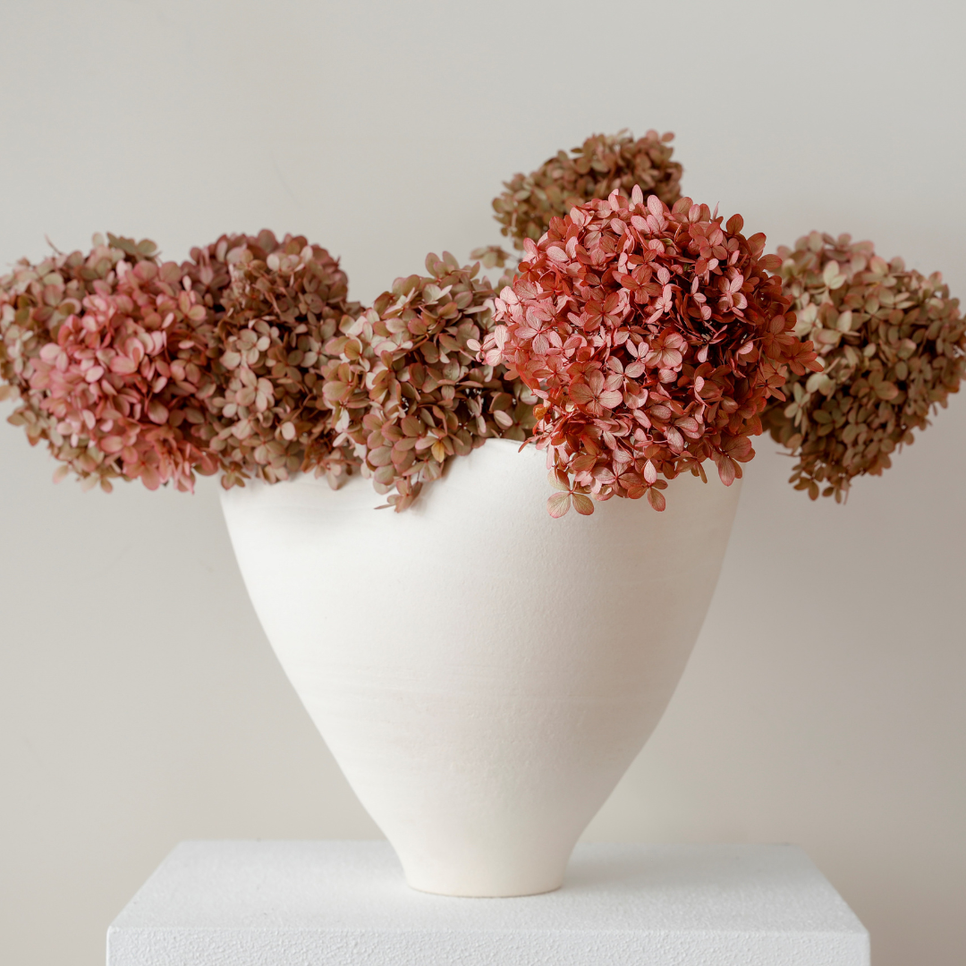 Limelight BLUSH | Large STEM