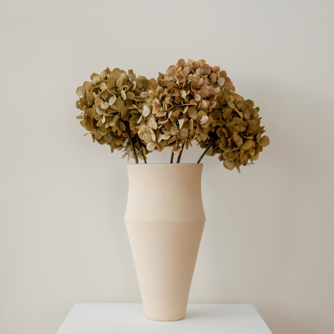 MEDIUM Autumn Beige Juliana - Preserved Hydrangea STEM