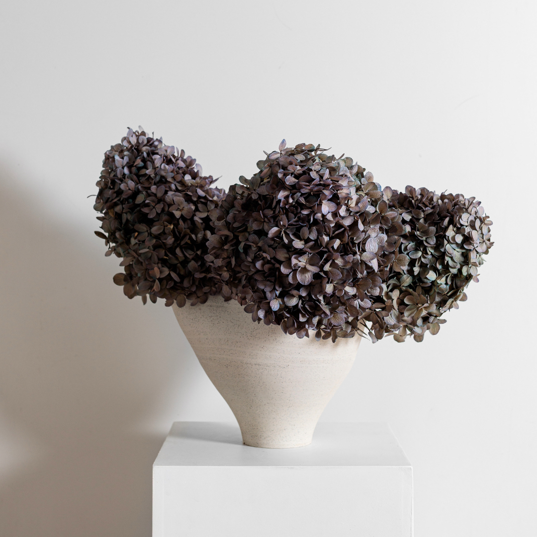 Limelight GREY LILAC | Medium STEM