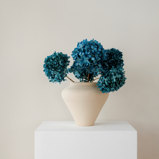 MINI Sea Blue Paniculata- Preserved Hydrangea BUNCHES