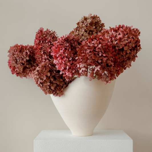 MEDIUM Pink Paniculata -Preserved Hydrangea STEM