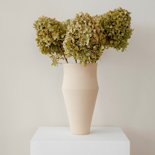 MEDIUM Sage Paniculata -Preserved Hydrangea STEM
