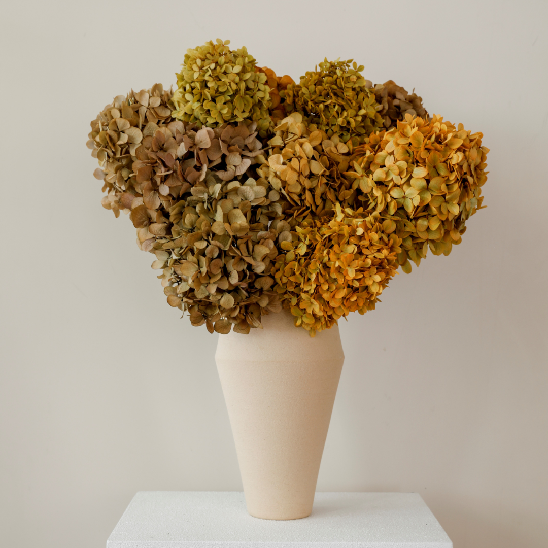 Autumn Mix- Preserved Hydrangea BUNCHES