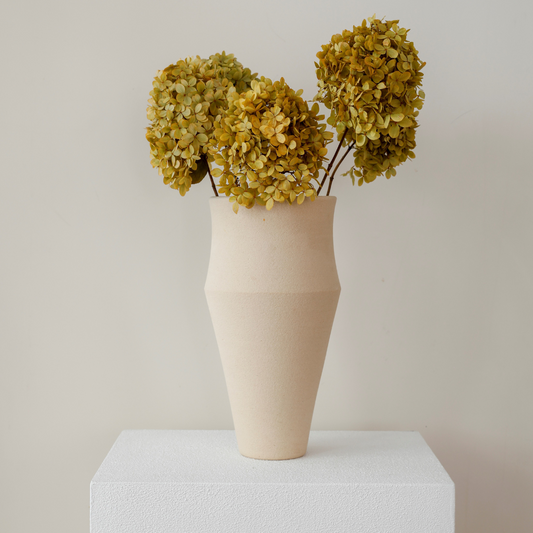 MINI Autumn Yellow Paniculata- Preserved Hydrangea BUNCHES