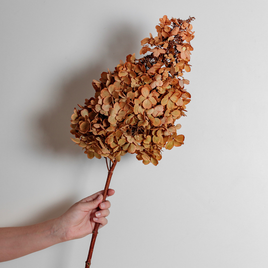 Candlelight AUTUMN | Large