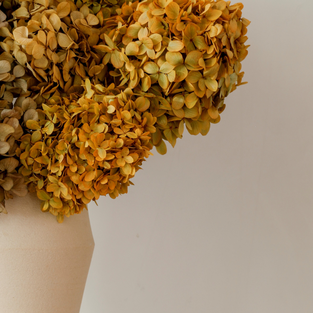 Autumn Mix- Preserved Hydrangea BUNCHES