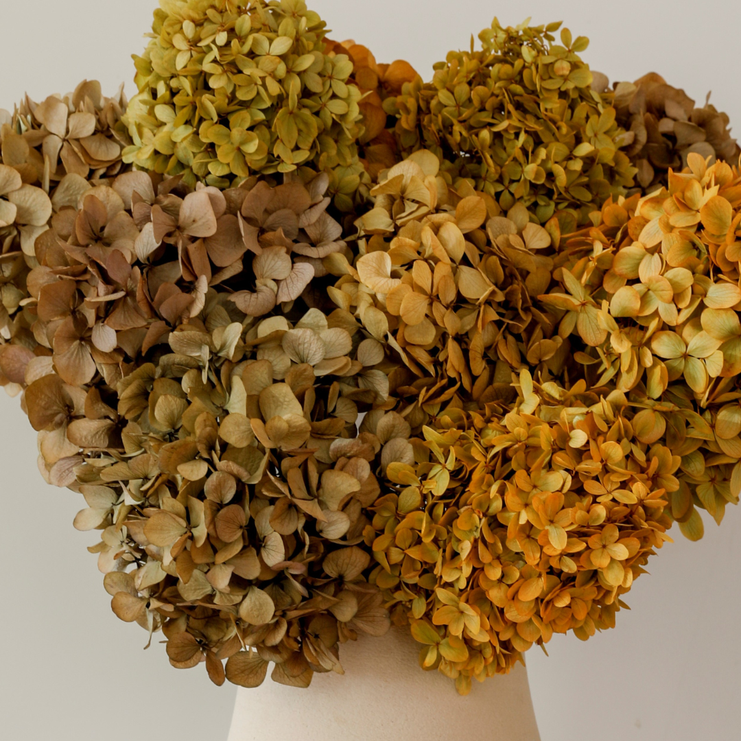 Autumn Mix- Preserved Hydrangea BUNCHES