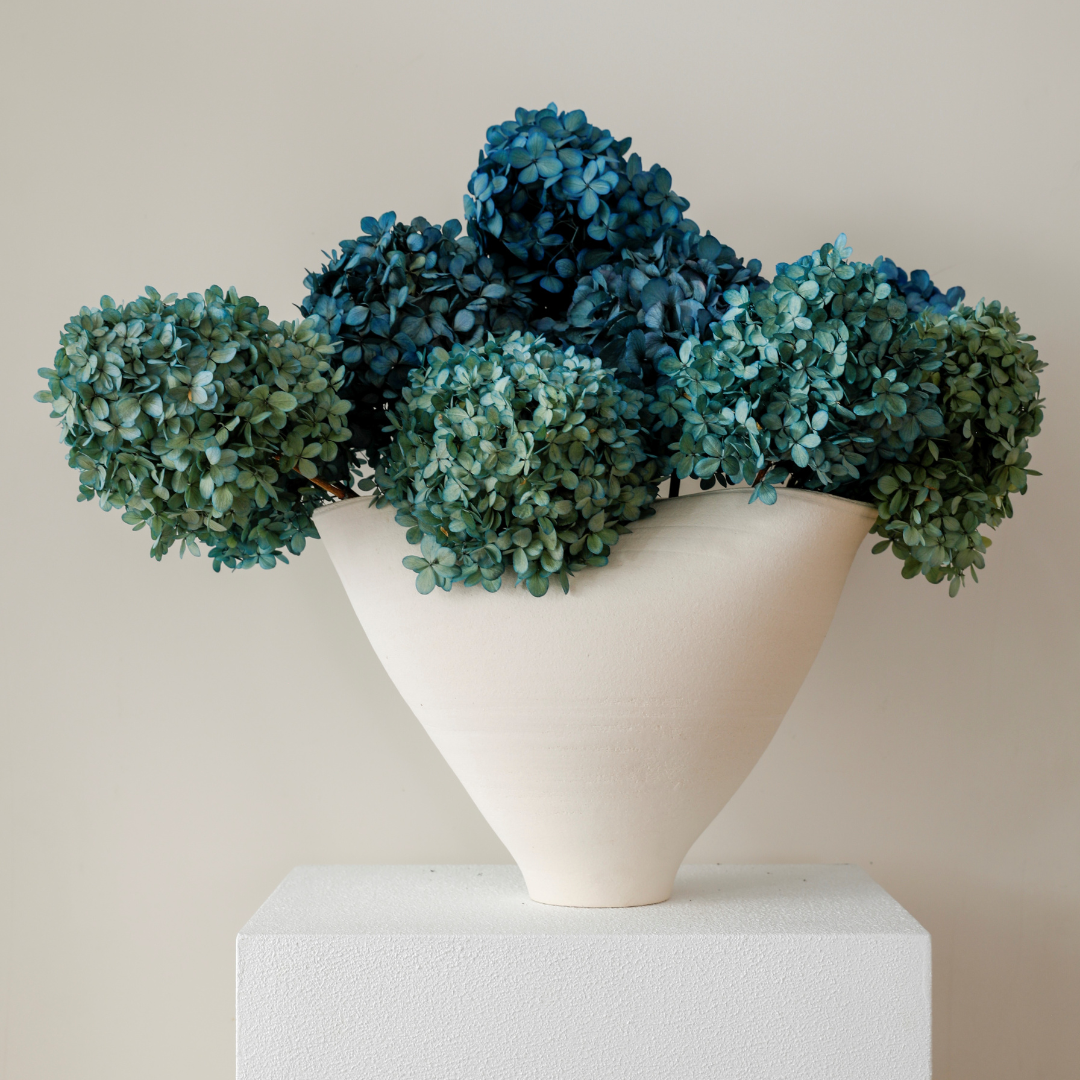 MEDIUM Sea Blue Paniculata - Preserved Hydrangea STEM