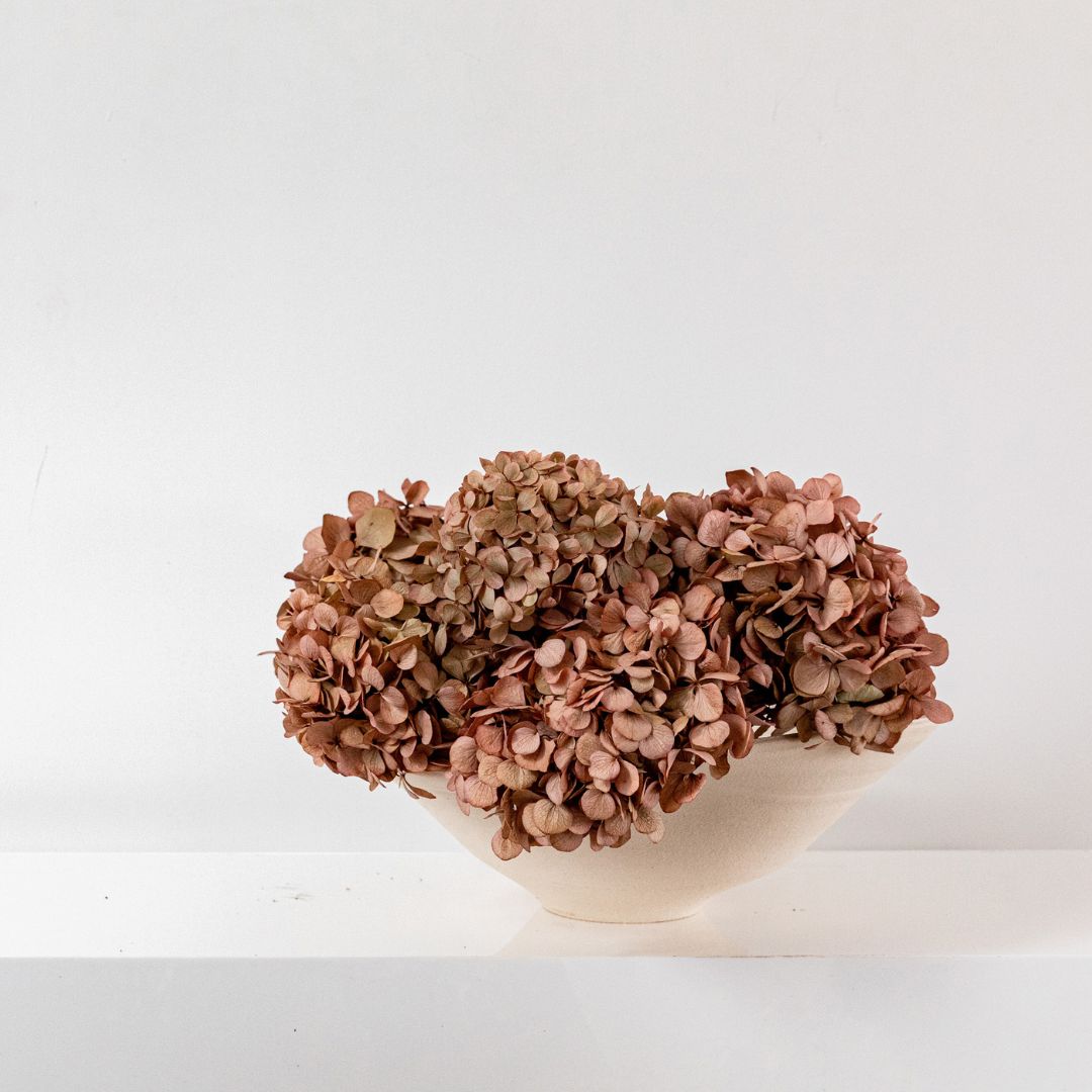 MEDIUM Blush Juliana - Preserved Hydrangea STEM