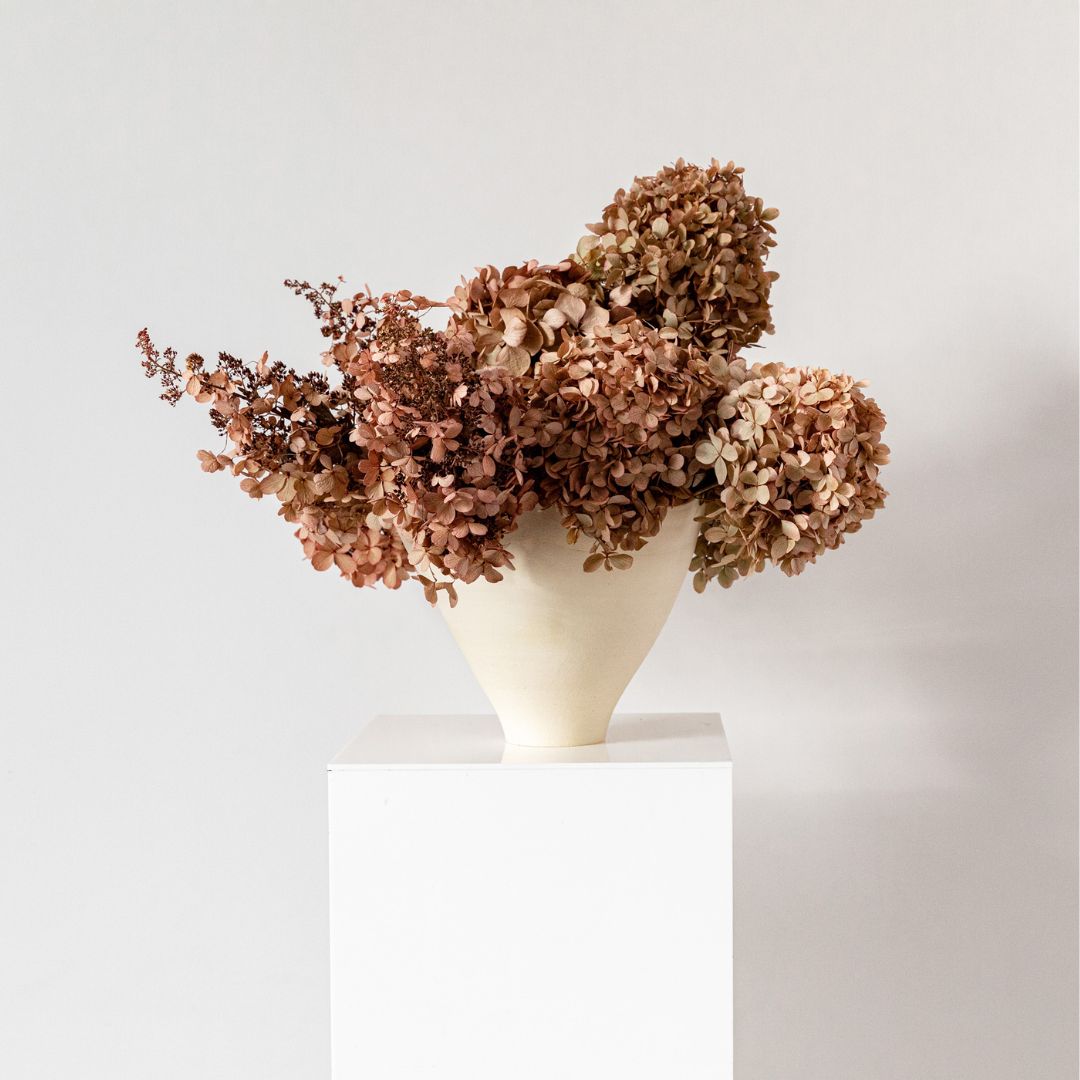 Limelight BLUSH | Medium STEM