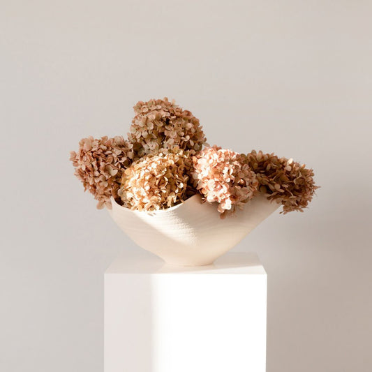 MEDIUM Blush Paniculata -Preserved Hydrangea STEM