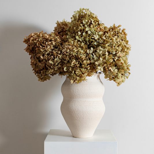 Limelight SAGE | Medium