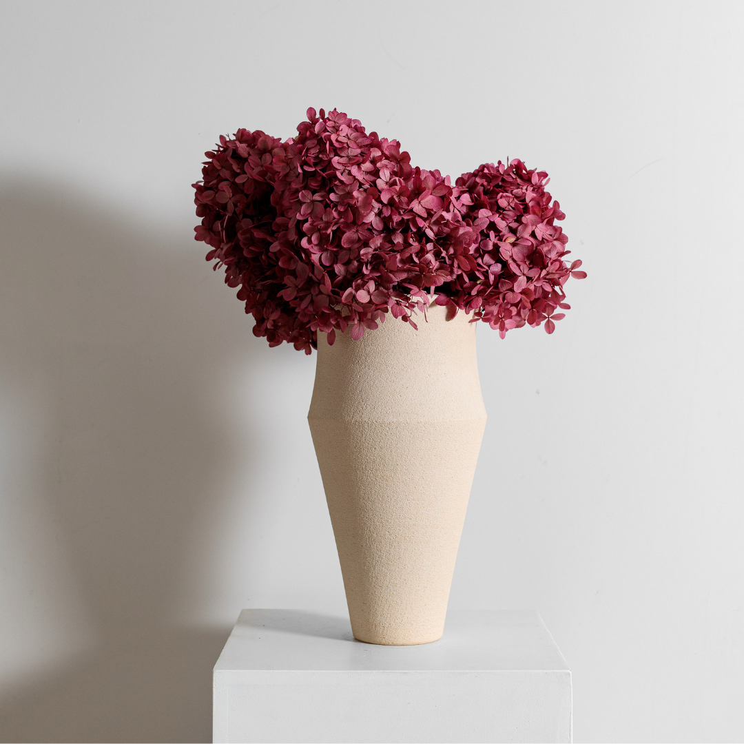 Limelight ROSE PINK | Large STEM
