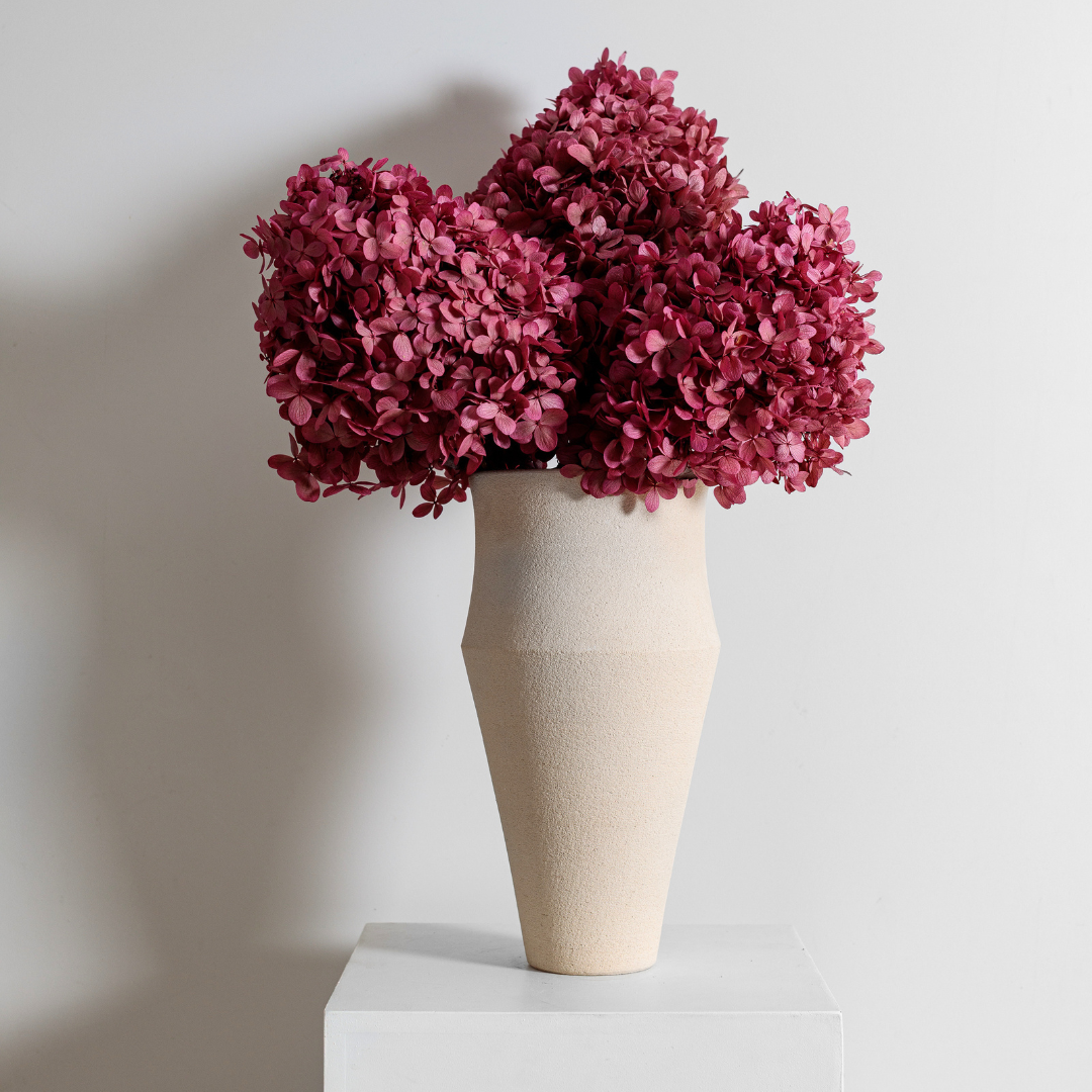 Limelight ROSE PINK | Large STEM