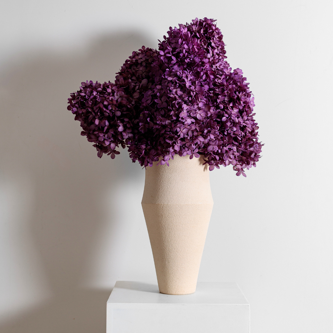 Limelight PURPLE | Medium STEM