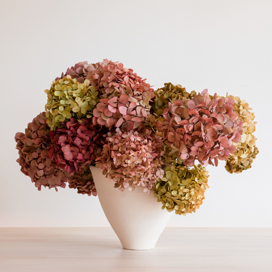 MOTHERS DAY Bunch- Preserved Hydrangea Mix