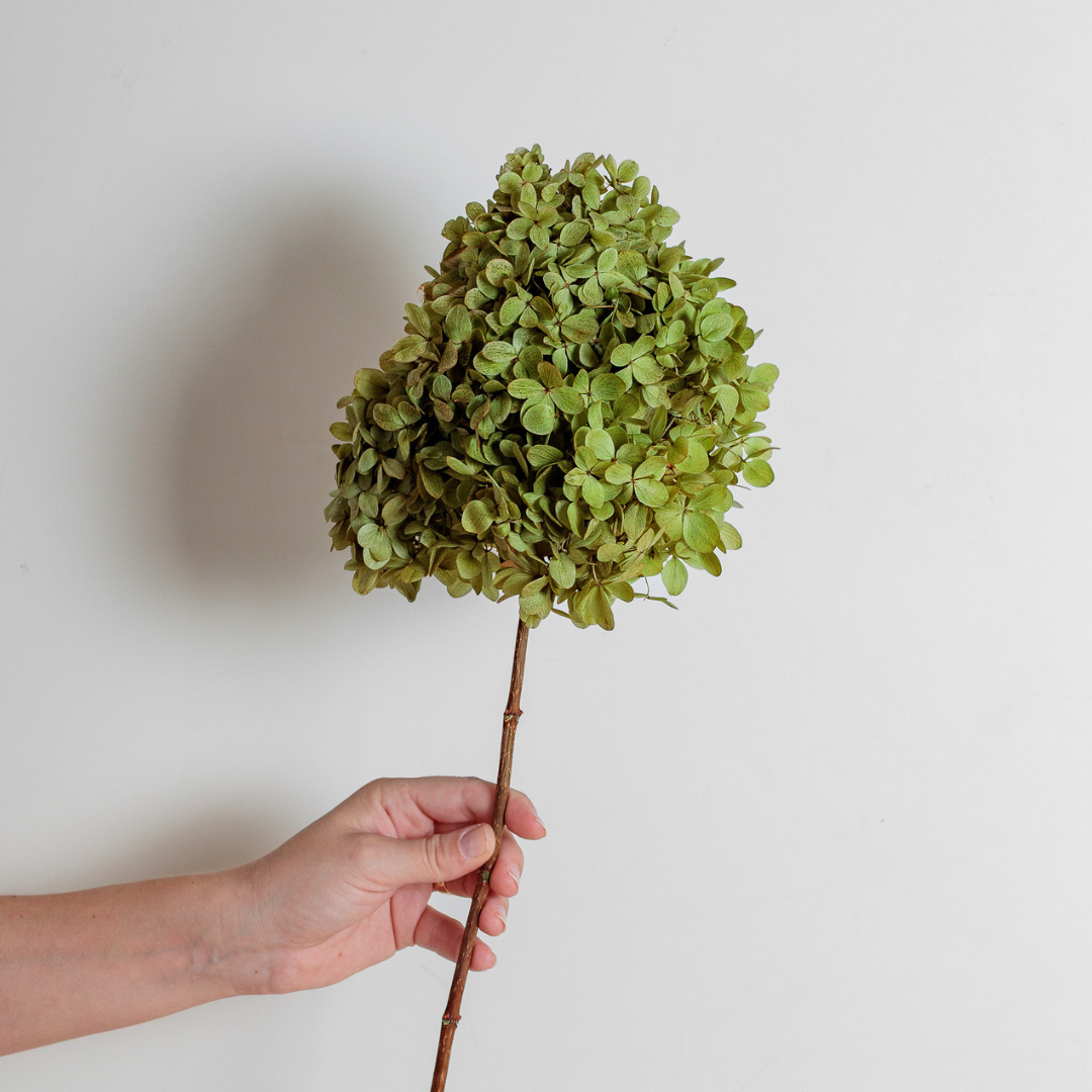 Green Mix  | Medium