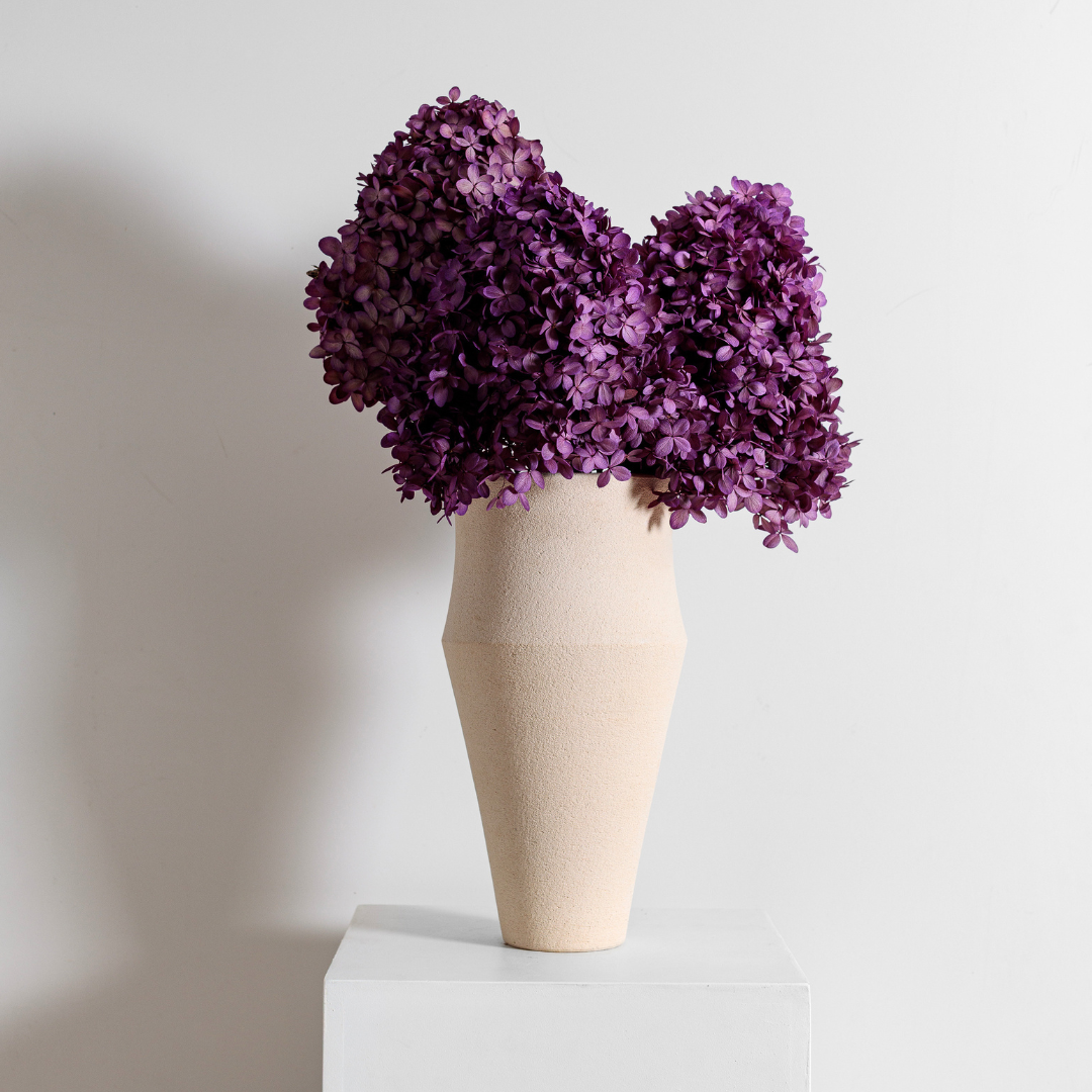 Limelight  PURPLE | Large STEM