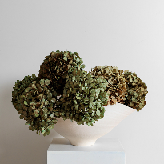 Juliana SAGE | Medium