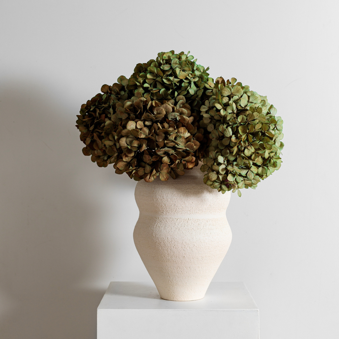 Juliana SAGE | Medium STEM