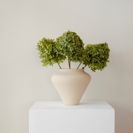 Limelight APPLE | Medium