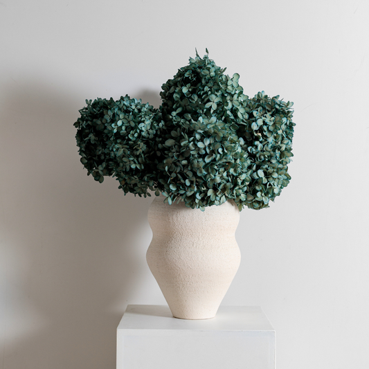 Limelight BLUE | Medium