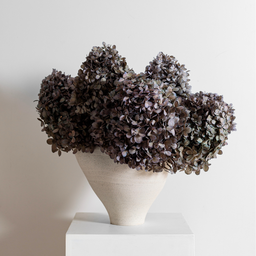 Limelight GREY LILAC | Large STEM