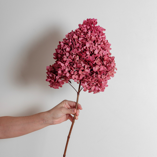 Limelight ROSE PINK | Large